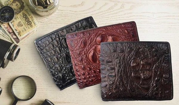 y-nghia-rieng-cua-tung-chiec-vi-da-ca-sau-dang-cap-theo-tung-bo-phan-khac-nhau-01