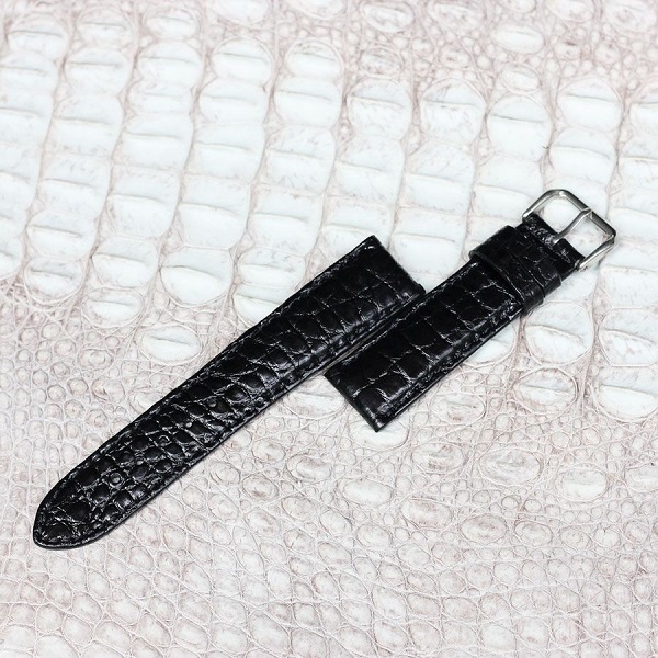 Đầu tư dây đồng hồ da cá sấu cho chiếc đồng hồ yêu thích của bạn thêm phần hoàn hảo